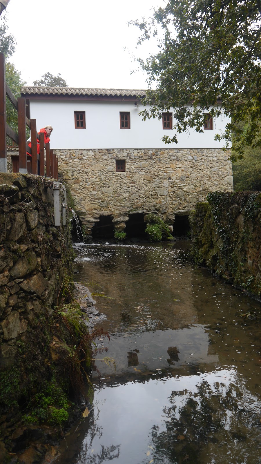 Quinta de Fonte Joana, unknown accommodation in Oliveira de Azemeis on the Camino Portuguese