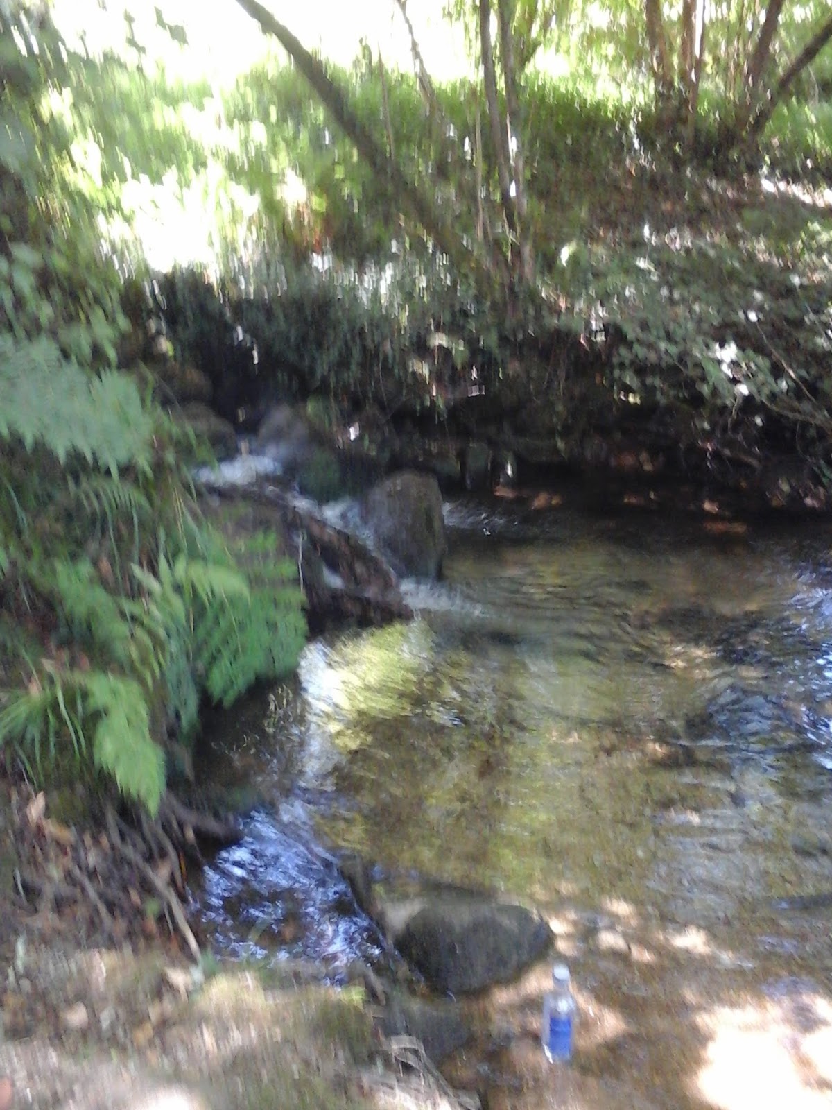 Rias baixas silvan 11 photo 8, unknown accommodation in Amenteira on the Camino Portuguese