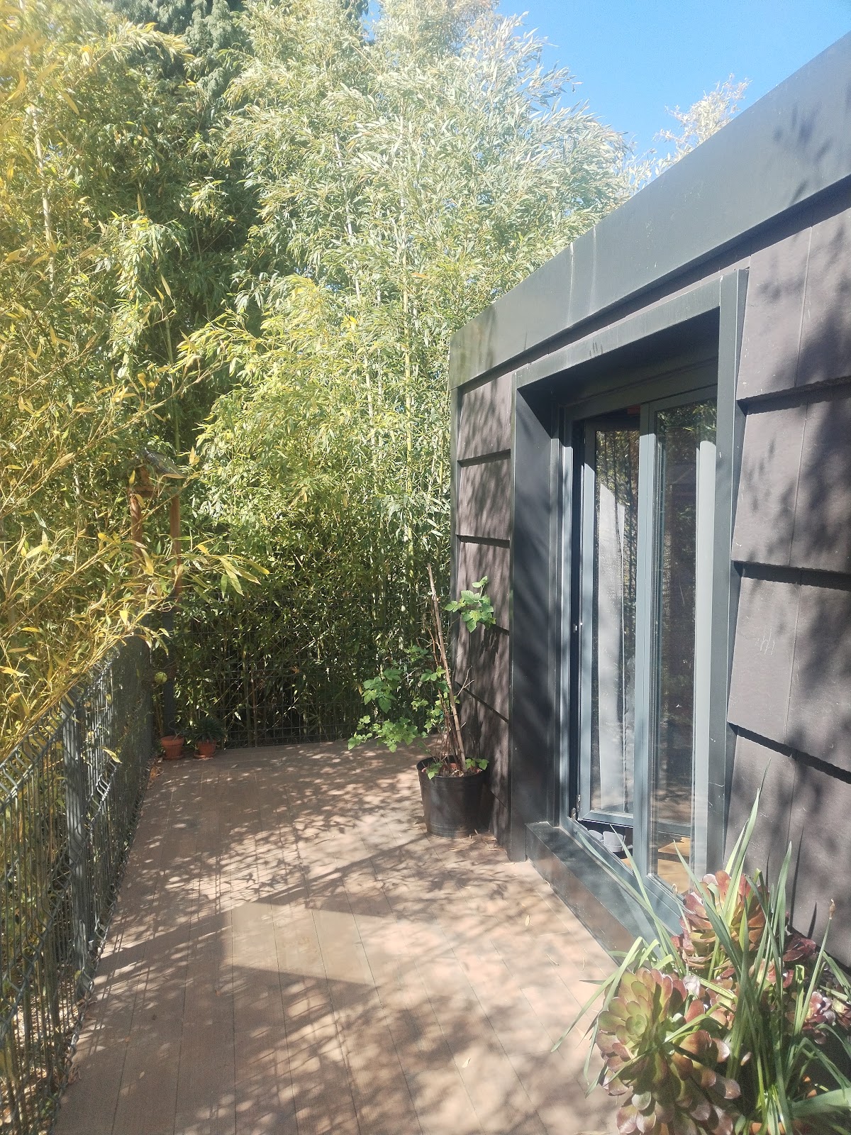 Bamboo Guest House, pension accommodation in Agueda on the Camino Portuguese
