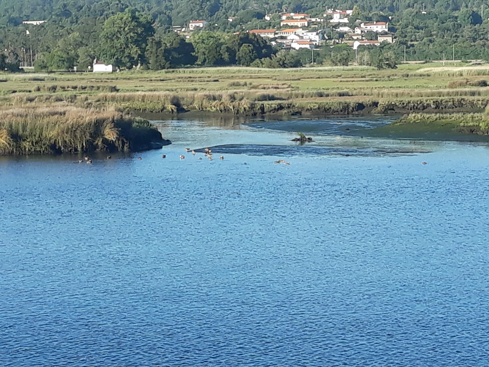 Caminha Pilgrims' Hostel photo 7, albergue accommodation in Caminha on the Camino Portuguese