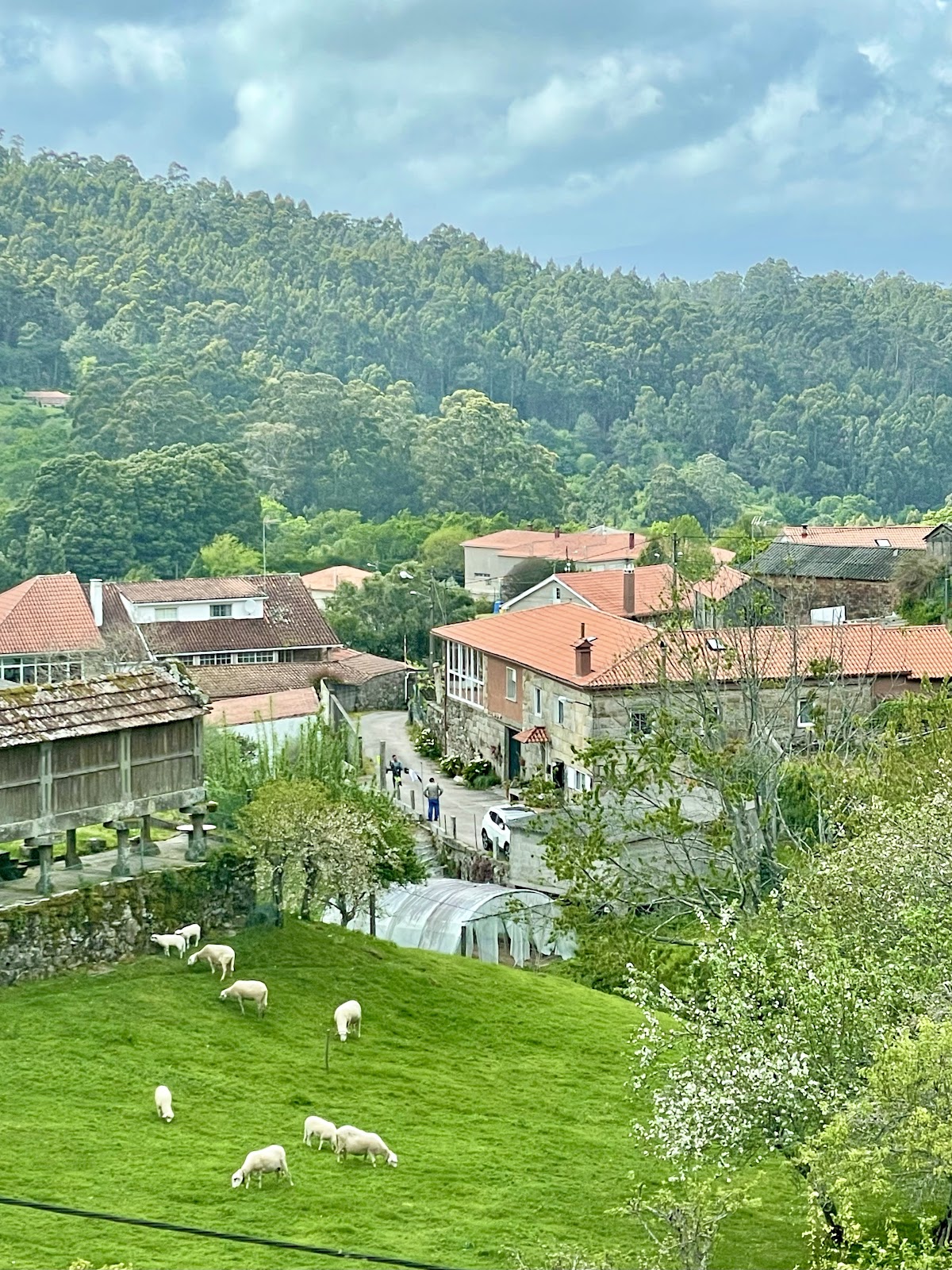 A Casa das Barreiras, pension accommodation in Amenteira on the Camino Portuguese