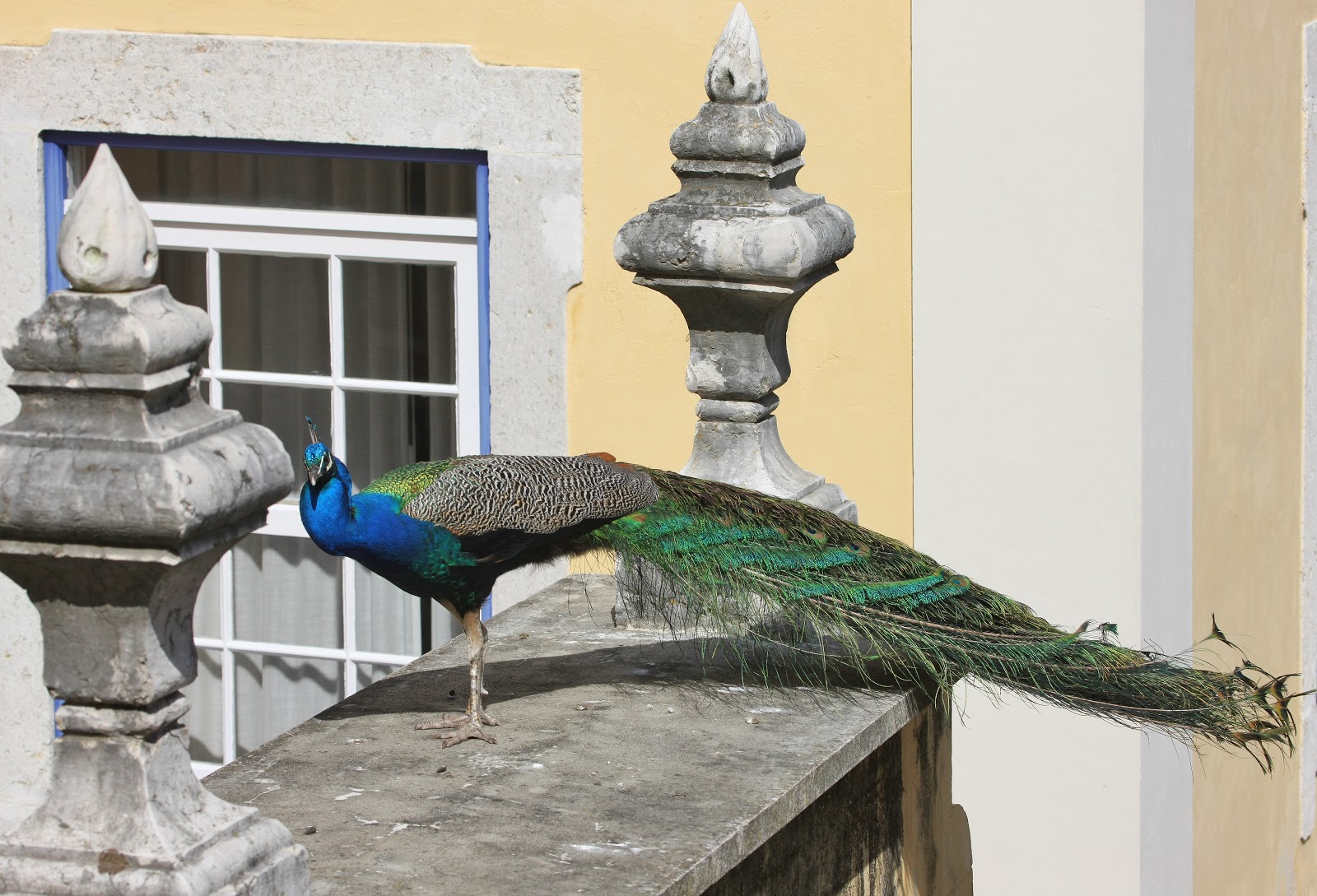 Solar do Castelo, hotel accommodation in Lisbon on the Camino Portuguese