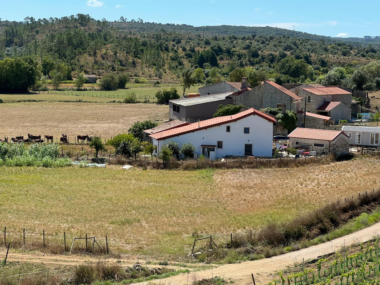 Casinha da Lima, albergue accommodation in Rabacal on the Camino Portuguese