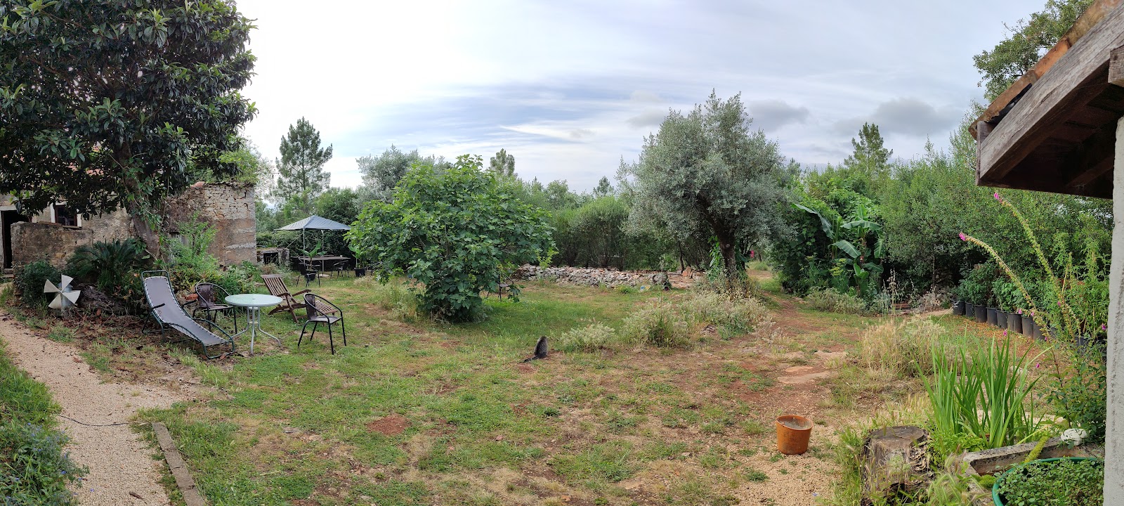 Albergue ibon photo 9, albergue accommodation in Ansiao on the Camino Portuguese