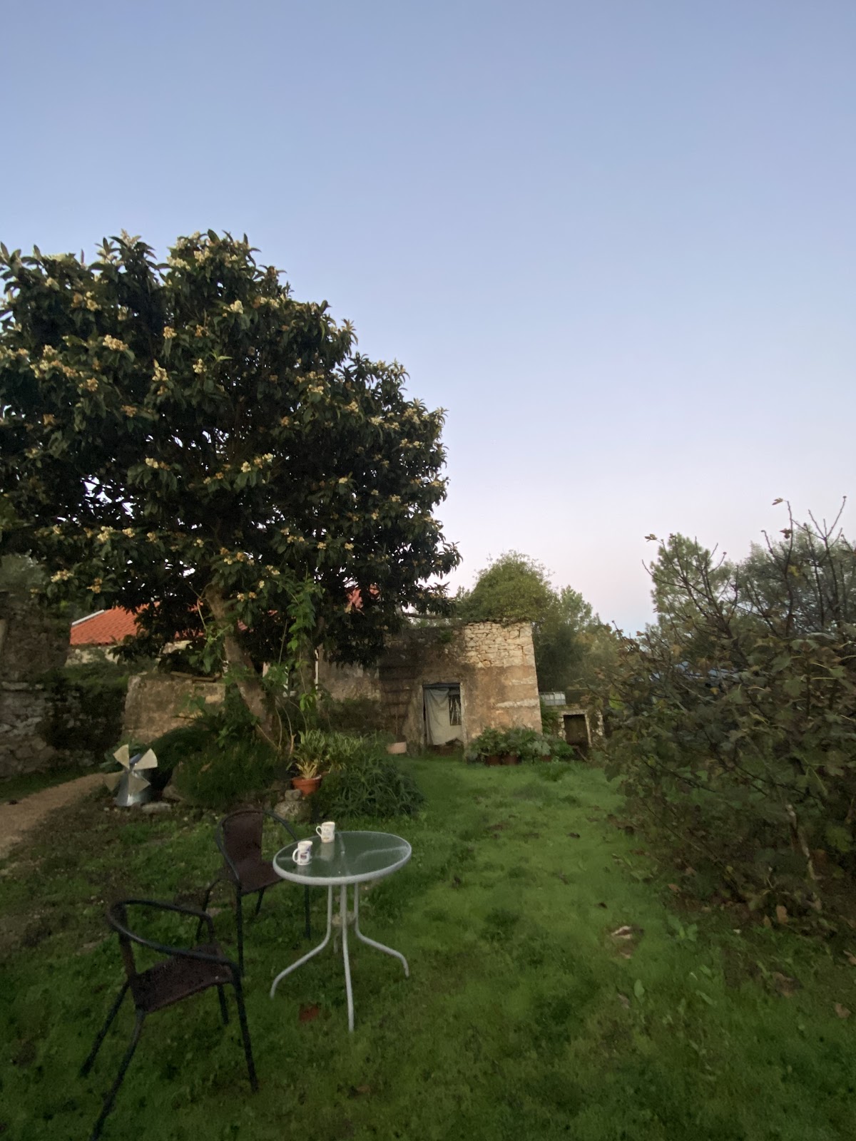 Albergue ibon photo 7, albergue accommodation in Ansiao on the Camino Portuguese