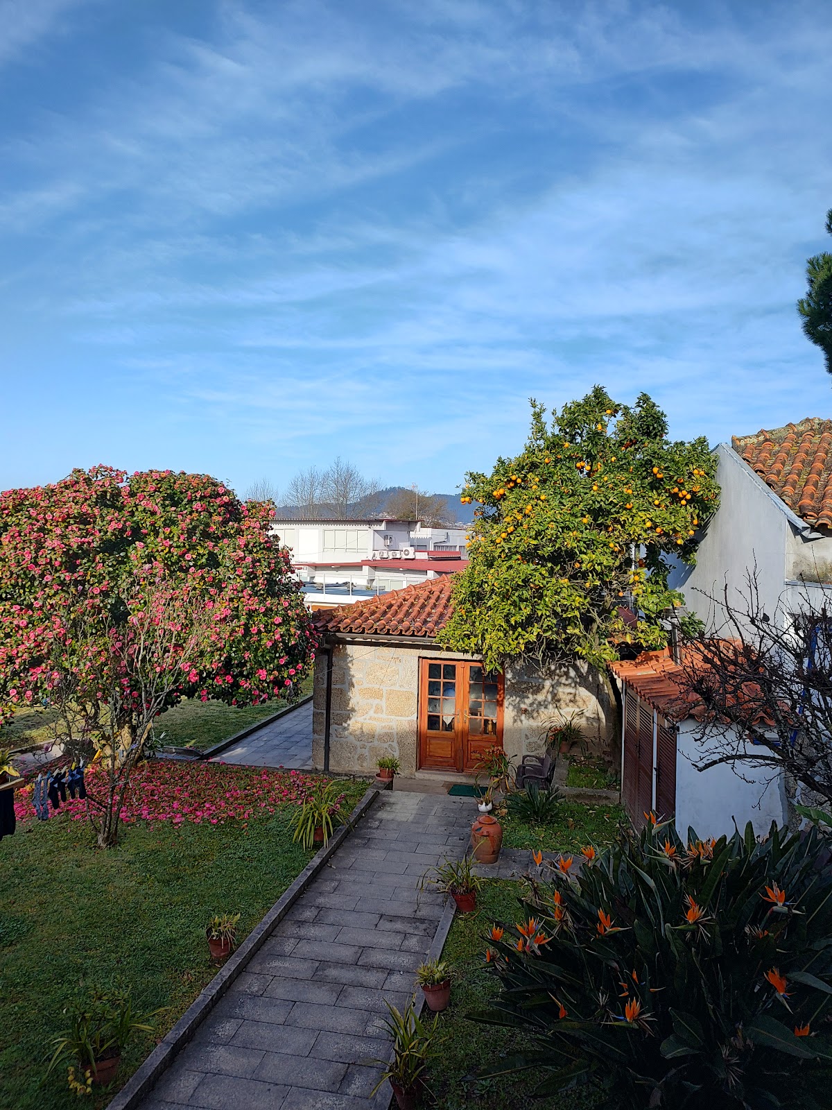 Casa das Pombas photo 4, albergue accommodation in Barcelos on the Camino Portuguese