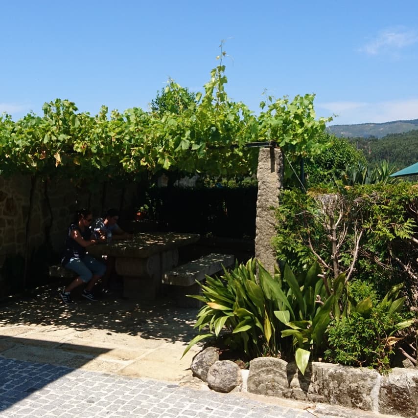 Quinta da Aldeia photo 9, apartment accommodation in Ponte de Lima on the Camino Portuguese
