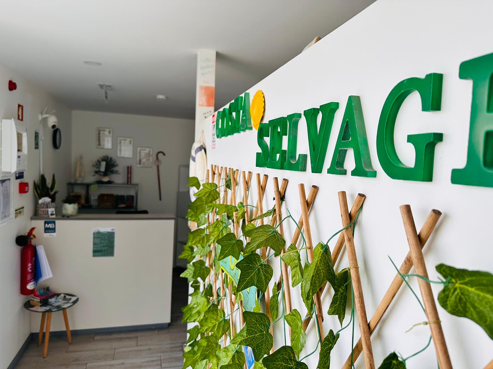 Hostel Costa Selvagem photo 7, albergue accommodation in Marinhas on the Camino Portuguese