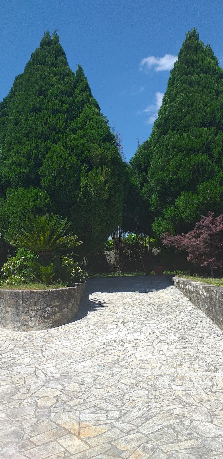 ALBERGUE PALLANES photo 6, albergue accommodation in Tui on the Camino Portuguese