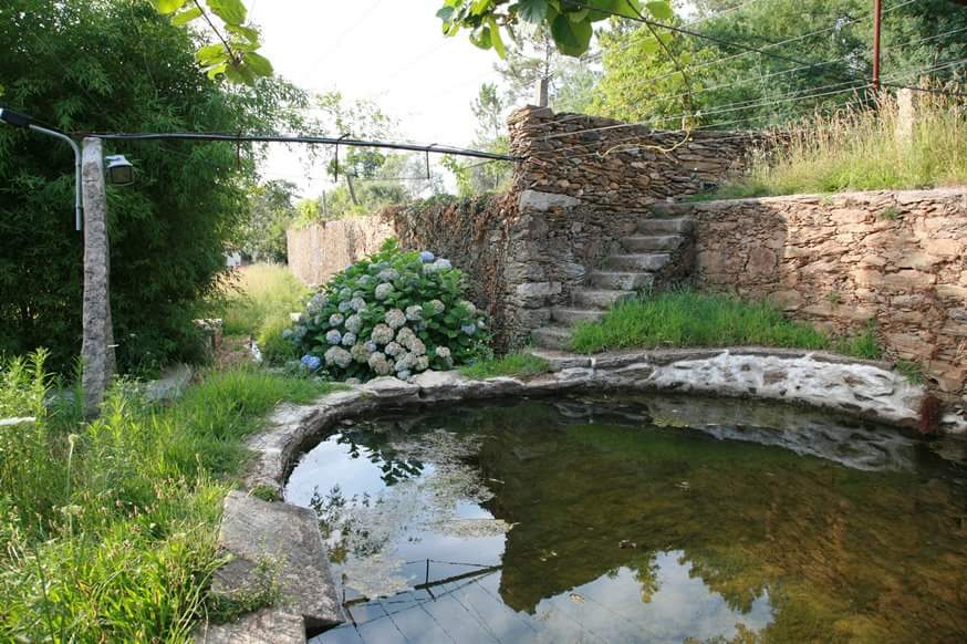 Quinta da Baldrufa - Alojamento Local photo 5, apartment accommodation in Ponte de Lima on the Camino Portuguese
