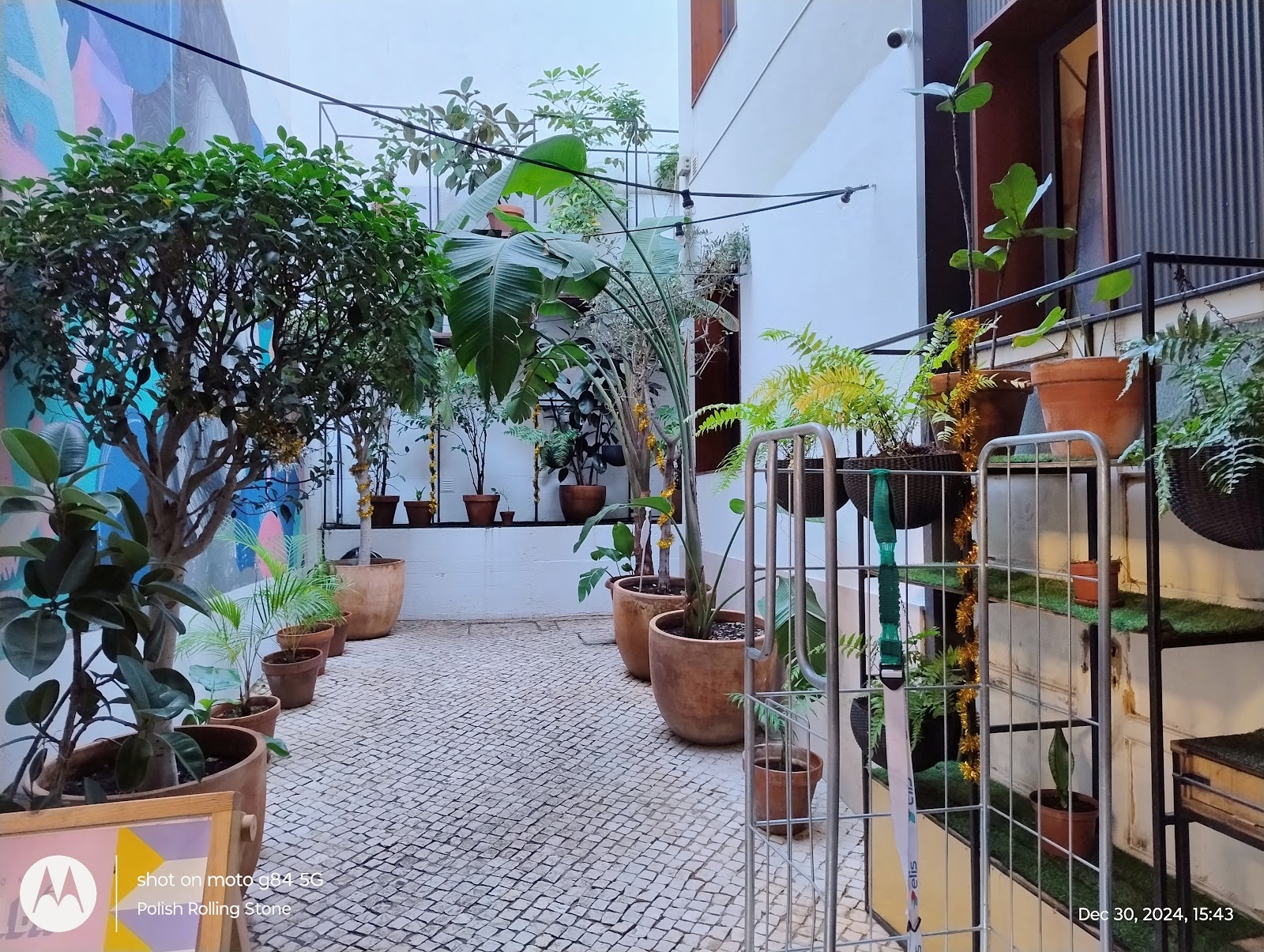 Selina Secret Garden & Cowork photo 6, hotel accommodation in Lisbon on the Camino Portuguese