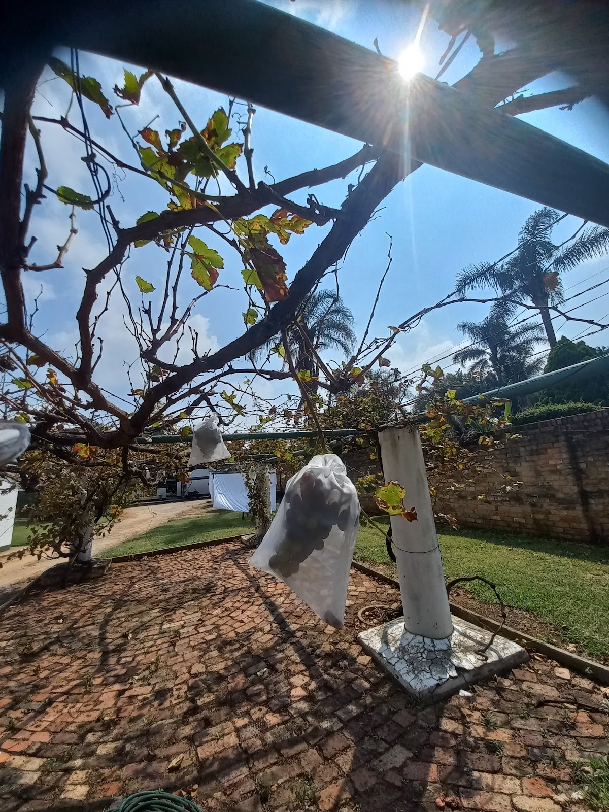 Be Lisbon Hostel Intendente photo 10, albergue accommodation in Lisbon on the Camino Portuguese
