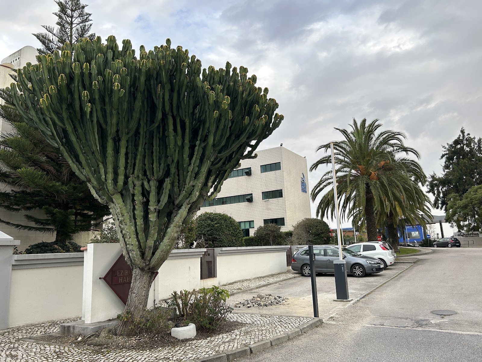 Lezíria Parque Hotel, hotel accommodation in Vila Franca de Xira on the Camino Portuguese