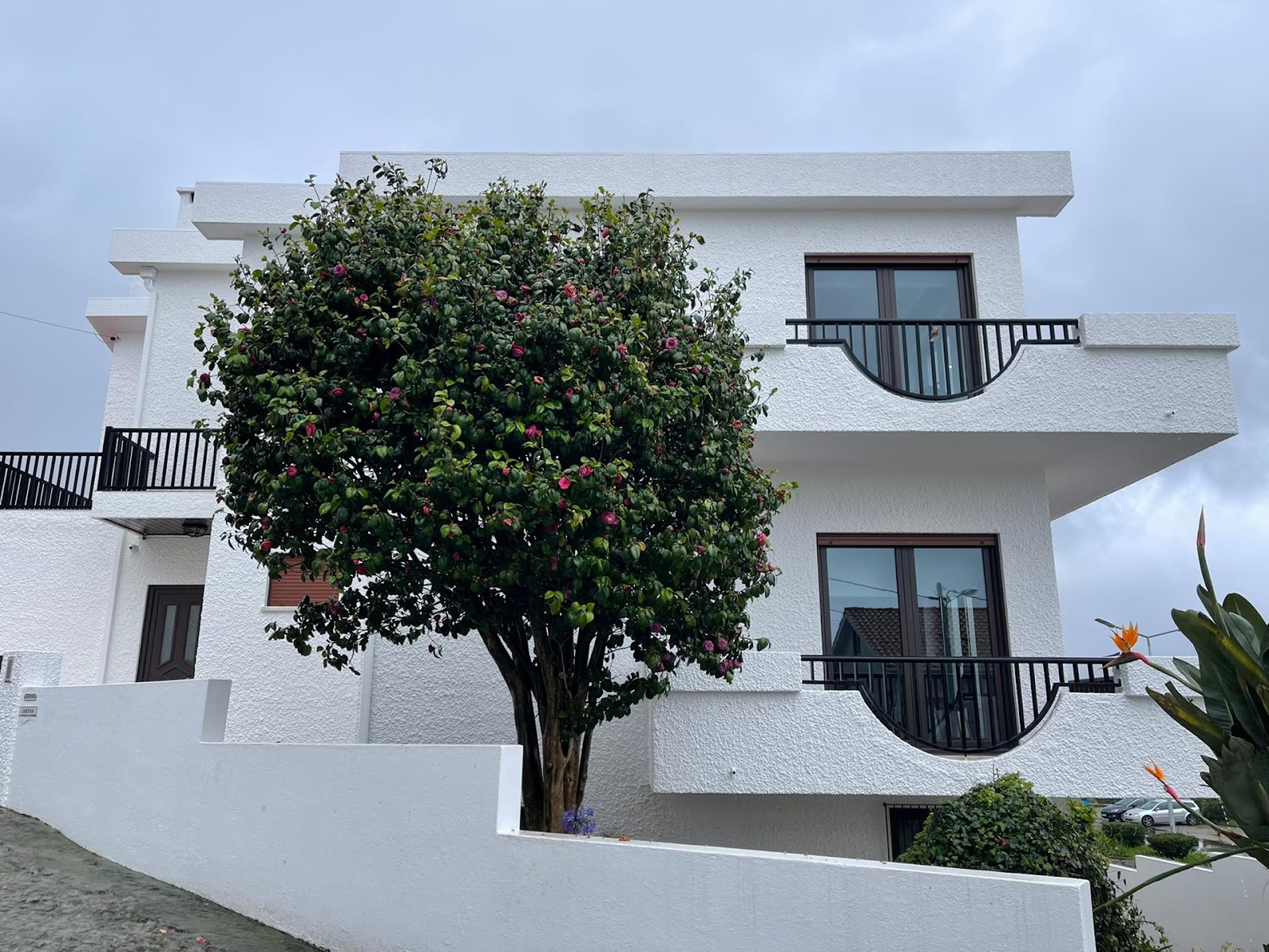 Casa de Âncora - Alojamento e Turismo photo 6, pension accommodation in Vila Praia de Ancora on the Camino Portuguese