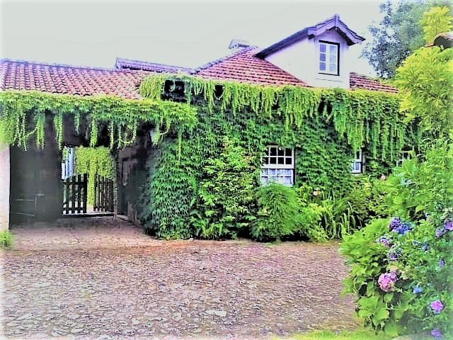 Casa da Roseira photo 4, pension accommodation in Ponte de Lima on the Camino Portuguese
