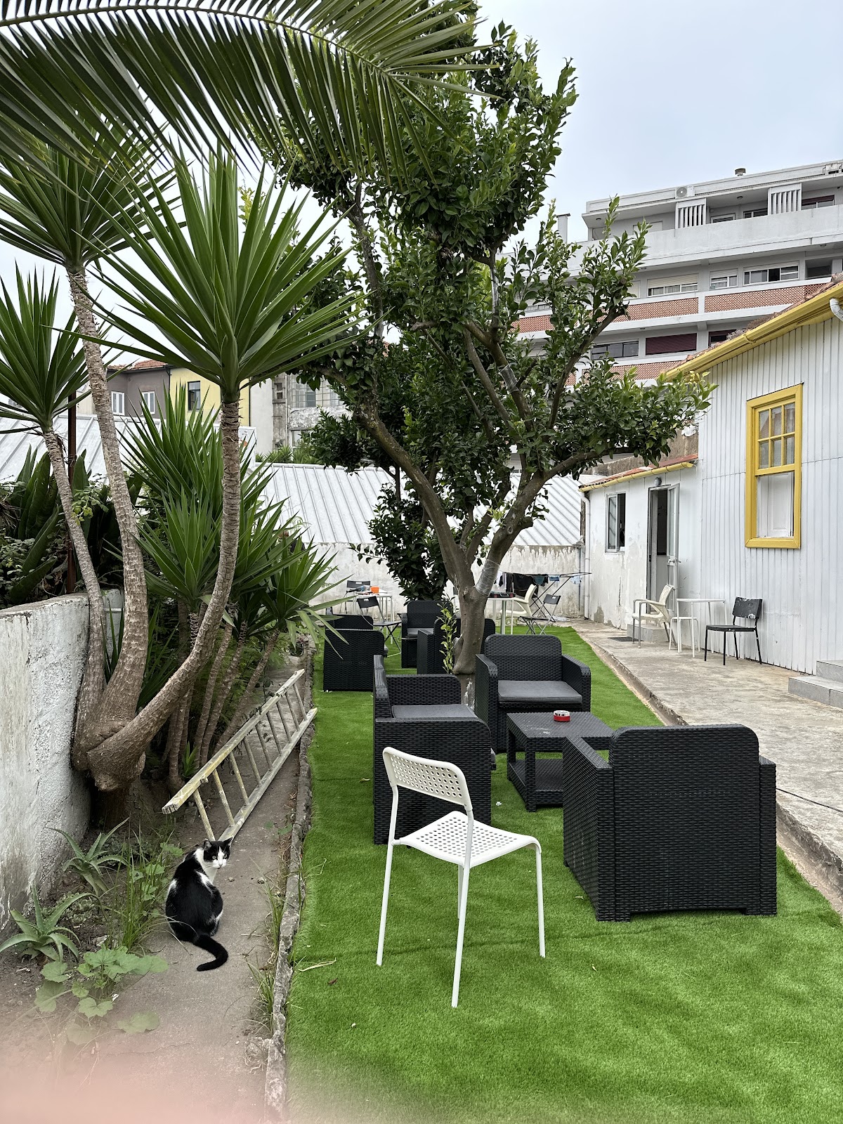 Owls Hostel Ildefonso, albergue accommodation in Porto on the Camino Portuguese
