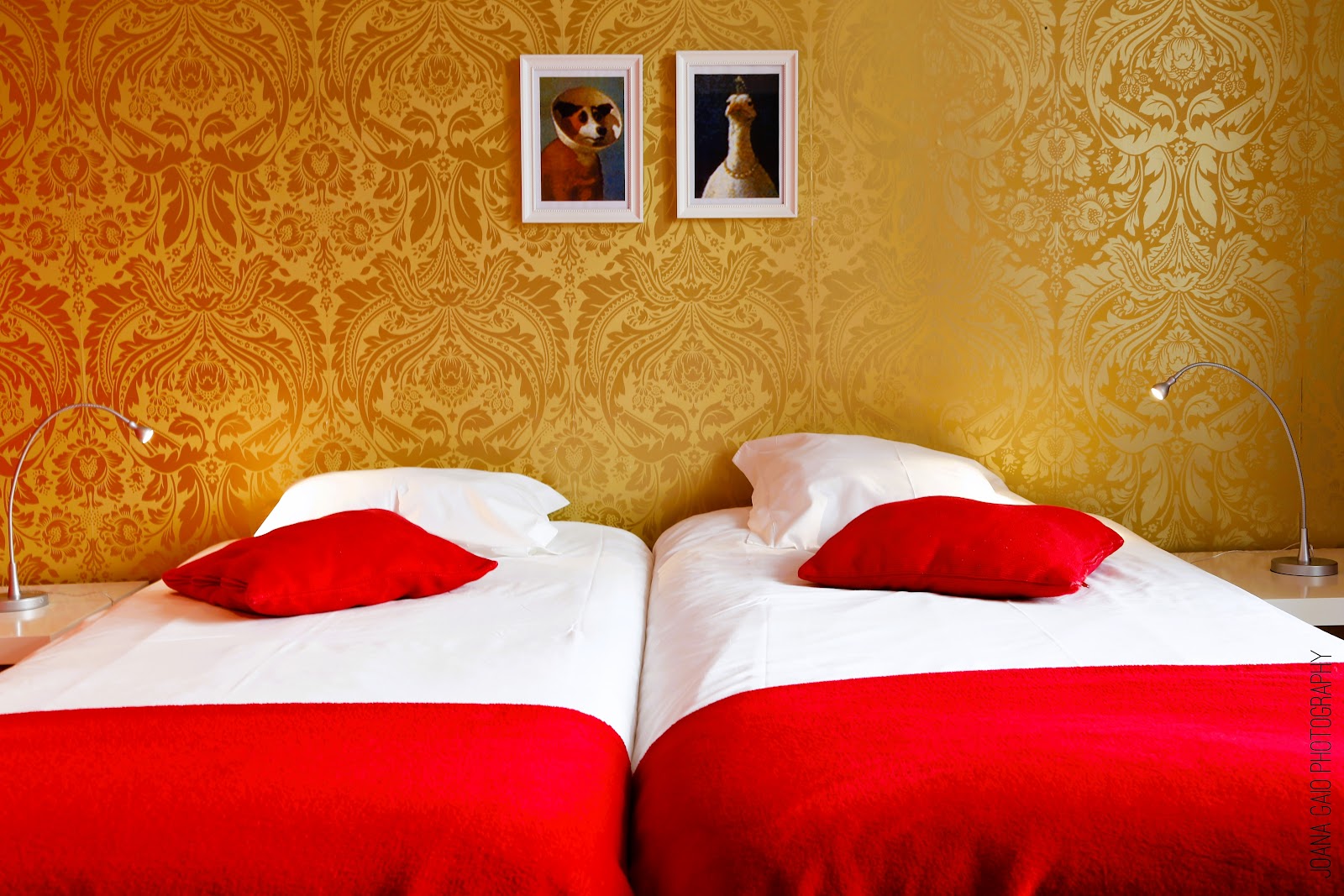 Rivoli Cinema Hostel photo 6, albergue accommodation in Porto on the Camino Portuguese