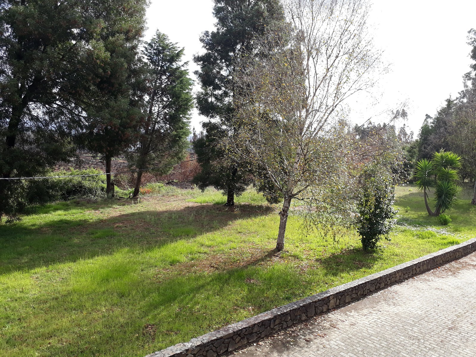 Hotel Alameda photo 10, hotel accommodation in Albergaria-a-Velha on the Camino Portuguese