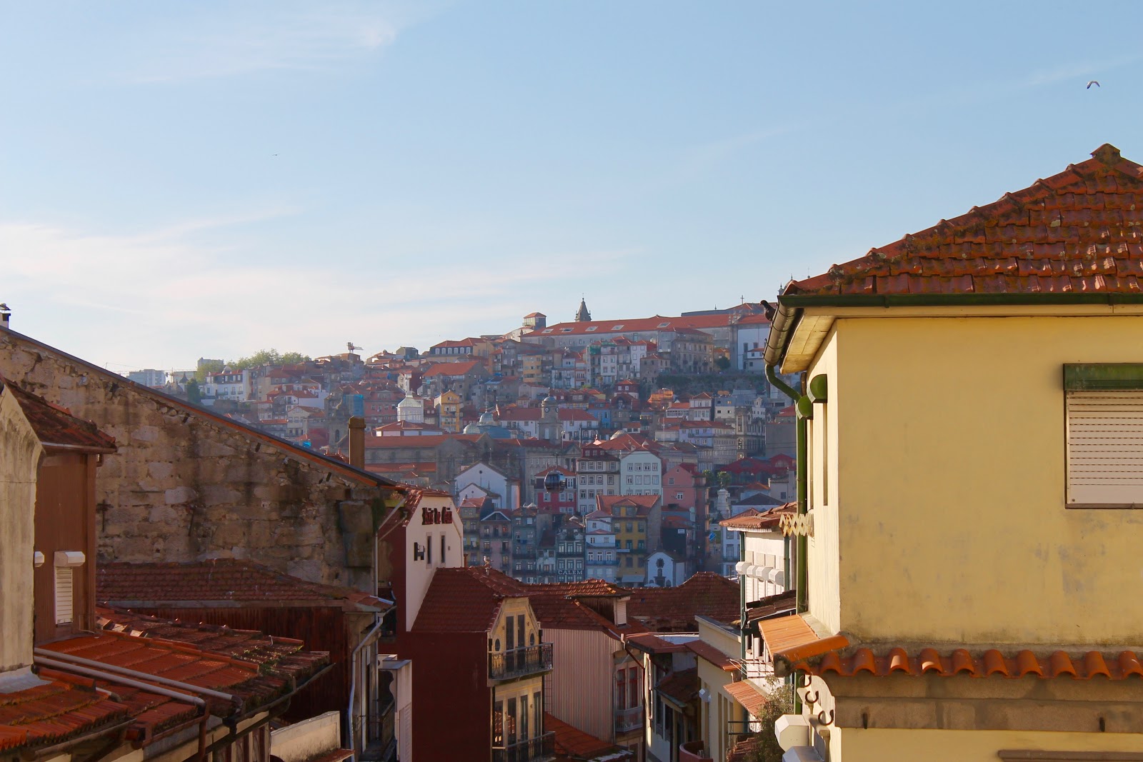Douro Surf | Hostel & Surf School, albergue accommodation in Porto on the Camino Portuguese