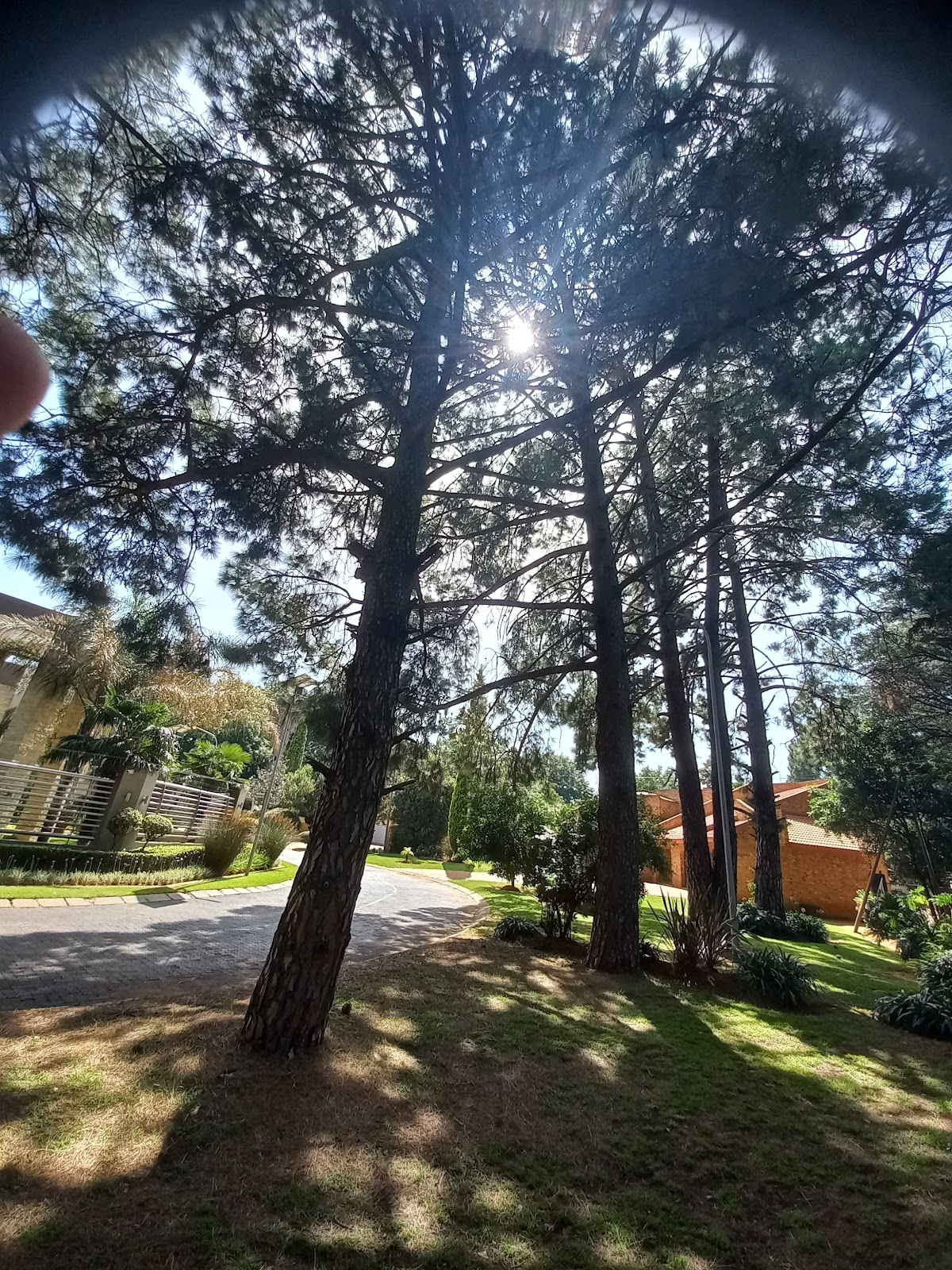 Be Lisbon Hostel Intendente photo 9, albergue accommodation in Lisbon on the Camino Portuguese
